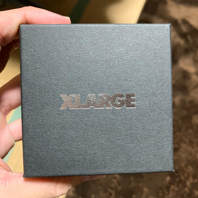 XLARGE(エクストララージ)のXLARGE ピアス KEITH CLIMBING PIERCE メンズのトップス(パーカー)の商品写真