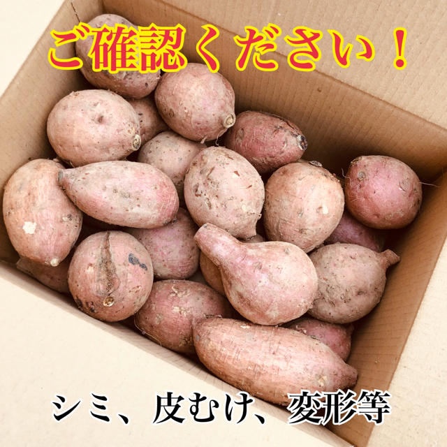 本場！熟成済み安納芋　M  ４㎏　数量限定 食品/飲料/酒の食品(野菜)の商品写真