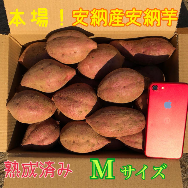 本場！熟成済み安納芋　M  ４㎏　数量限定 食品/飲料/酒の食品(野菜)の商品写真