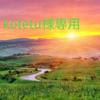 kotetu様専用(その他)