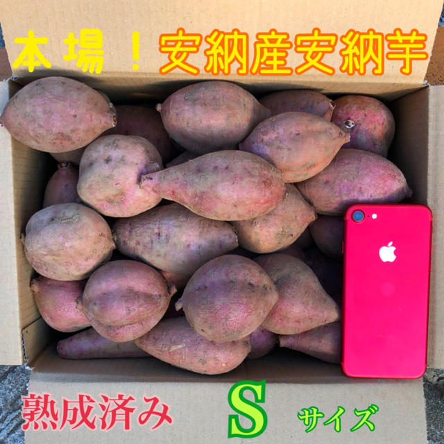 aska08様専用ページです。安納芋SS.S  5.5㎏ 食品/飲料/酒の食品(野菜)の商品写真