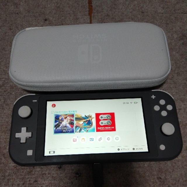 任天堂 Switch ライト スイッチライト 本体 ケース 充電器 セット