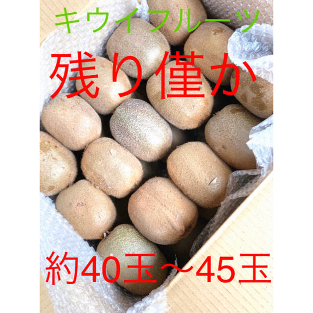 《残り僅か》千葉県船橋産 グリーンキウイフルーツ 《送料無料》 食品/飲料/酒の食品(フルーツ)の商品写真