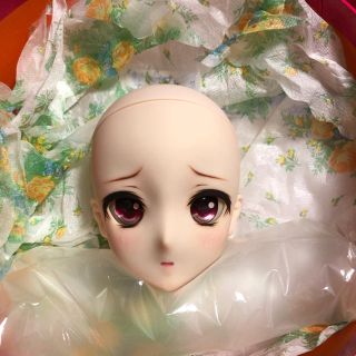 ドルフィードリーム カスタムヘッド DDH-09 SW肌 ※今日まで!の通販 by