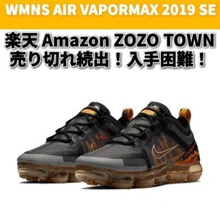 最終価格【NIKE】WMNS AIR VAPORMAX 2019SE【24.5(スニーカー)