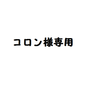 コロン様専用(印鑑/スタンプ/朱肉)