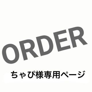 ちゃぴ様専用 ＊ ハンドメイド レッスンバッグ 他 3点セット(バッグ/レッスンバッグ)