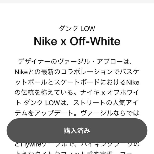 NIKE(ナイキ)のナイキ　オフホワイト　nike  off-white メンズの靴/シューズ(スニーカー)の商品写真