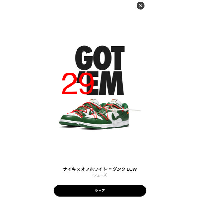 Nike off-white dunk low green 29