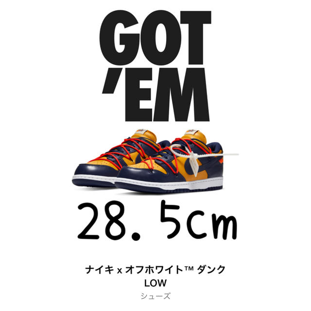 NIKE DUNK LOW LTHR / OW Michigan​ 28.5cm