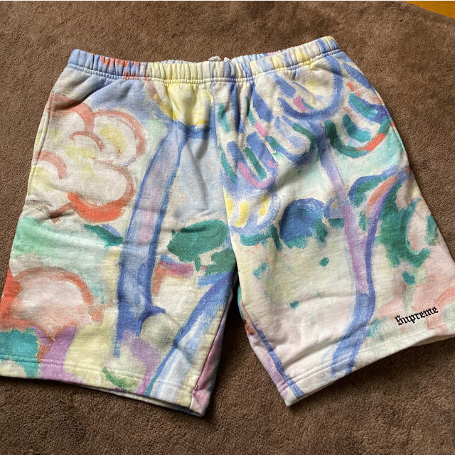 18ss supreme Landscape Sweatshort | angeloawards.com