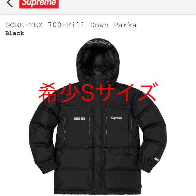 Supreme GORE-TEX 700-Fill Down Parka