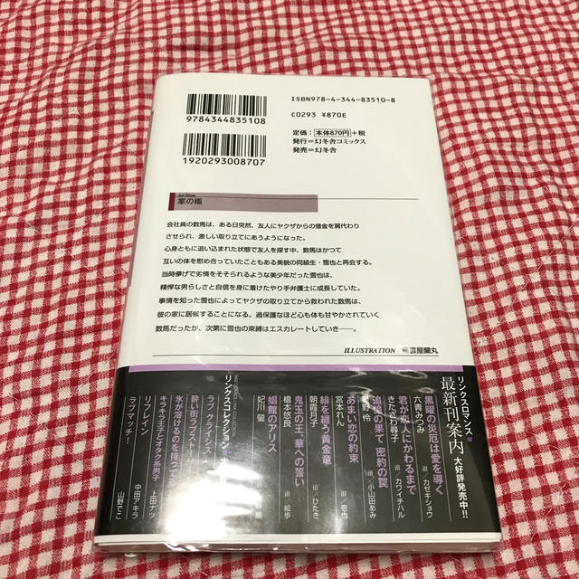 宮 玉 小説