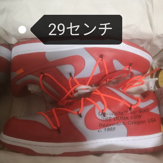 NIKE off-white DUNK LOW 29.0センチ