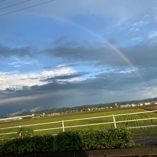 アラシ(嵐)のRainbow(嵐)(その他)