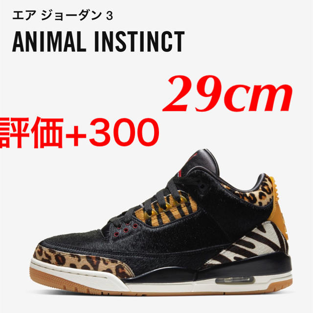 29cm  NIKE AIR JORDAN 3  ANIMAL INSTINCT靴/シューズ