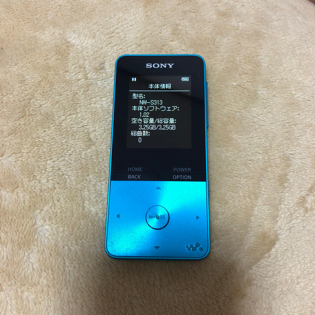 ソニー SONY ウォークマン NW-S313