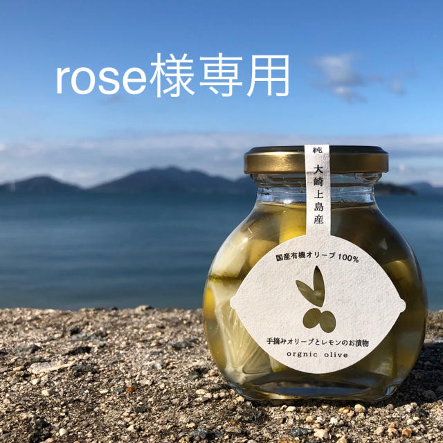 rose様オリーブとレモンのお漬物2本とみかん 10キロセット 食品/飲料/酒の食品(フルーツ)の商品写真