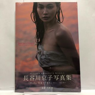 【未開封・未読・新品】長谷川京子　写真集　Just as a flower(アート/エンタメ)