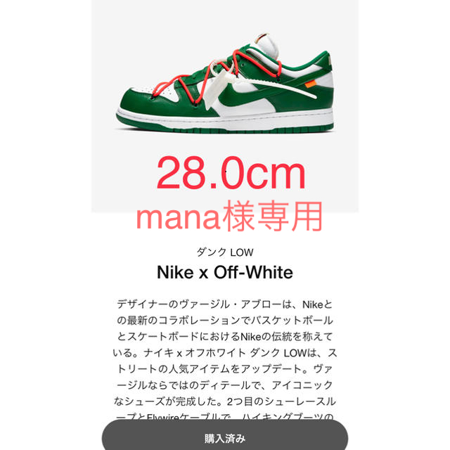 Nike Off-White offwhite dunk low 28のサムネイル