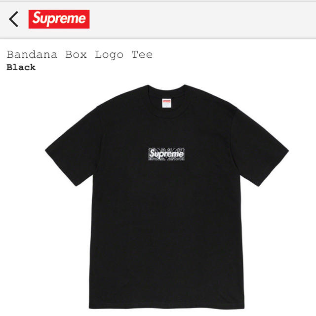 supreme BOX logo XL