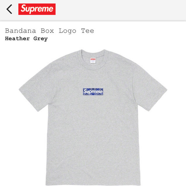 Supreme(シュプリーム)のsupreme bandana box logo tee 19aw week17 メンズのトップス(Tシャツ/カットソー(半袖/袖なし))の商品写真