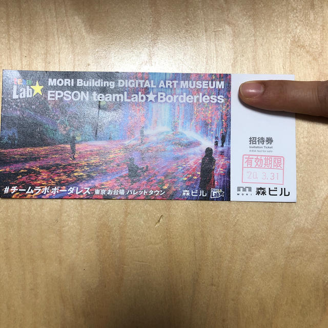 チームラボ チケットの施設利用券(美術館/博物館)の商品写真