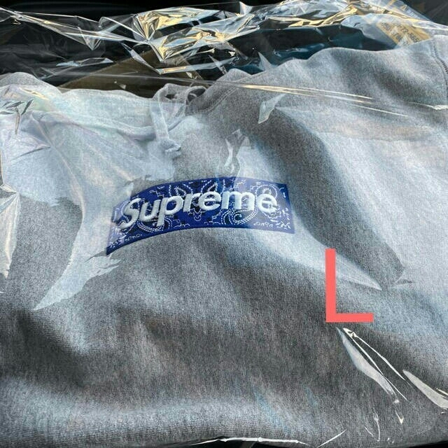 Bandana Box Logo Hooded Sweatshirt