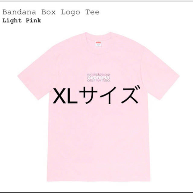 トップスBandana Box Logo Tee