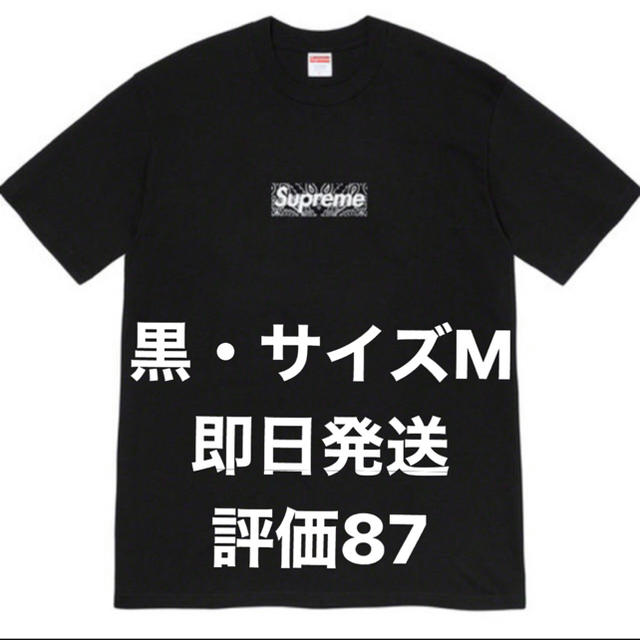 Tシャツ/カットソー(半袖/袖なし)Bandana Box Logo Tee Tシャツ ボックス