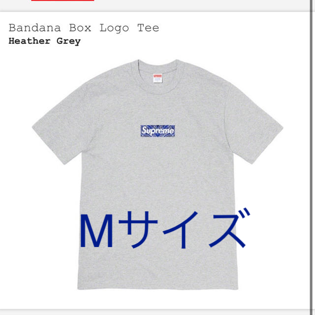 supreme bandanna box logo tee Mトップス