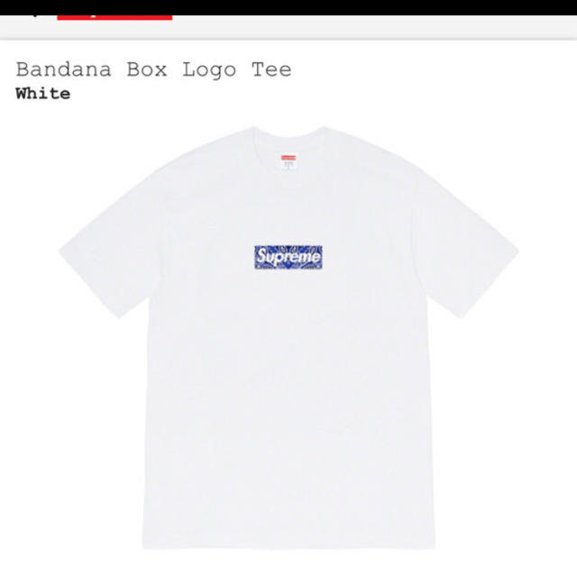 Tシャツ/カットソー(半袖/袖なし)M!! Supreme  bandana box logo tee