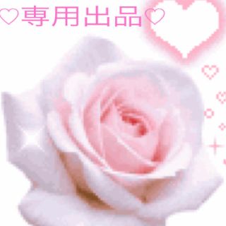 みぽりん★様★専用(その他)