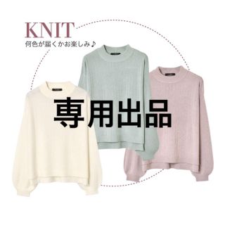 ダブルクローゼット(w closet)の専用出品 (ニット/セーター)