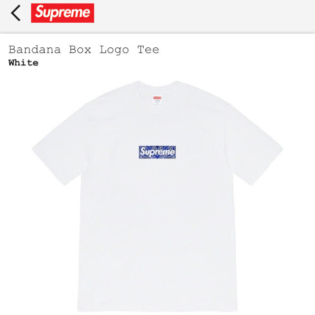 Supreme Bandana Box Logo Tee ボックスロゴ S