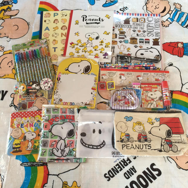 SNOOPY(スヌーピー)のきゅうり様 確認ページ ハンドメイドの文具/ステーショナリー(その他)の商品写真