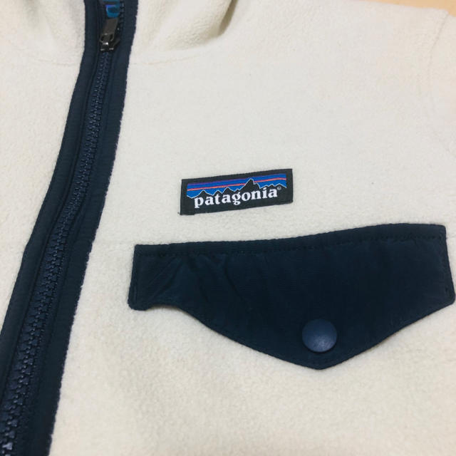 Patagonia パタゴニア フリース 1