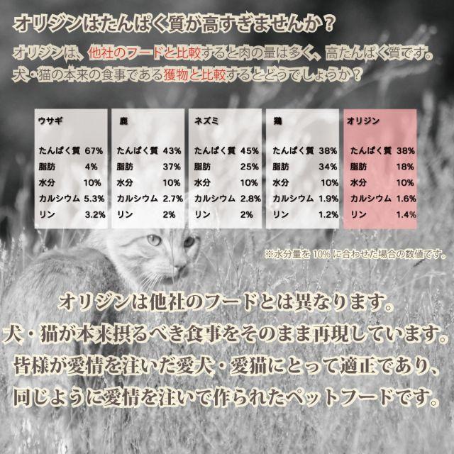 組合わせ自由 Orijen オリジン キャット フード 950g その他のペット用品(猫)の商品写真