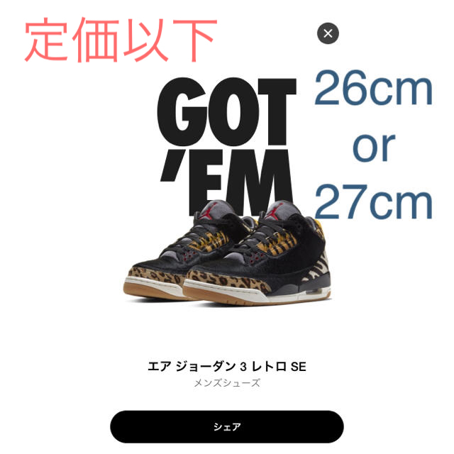 定価以下　NIKE AIR JORDAN 3 RETRO SE ANIMAL