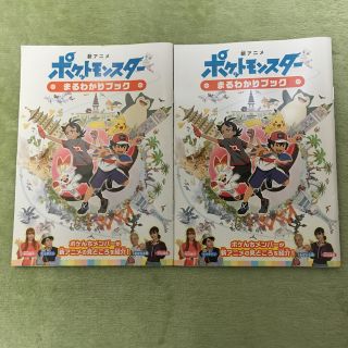 ポケモン(ポケモン)の新アニメ ポケットモンスター まるわかりブック シリアルコード 2冊セット(その他)