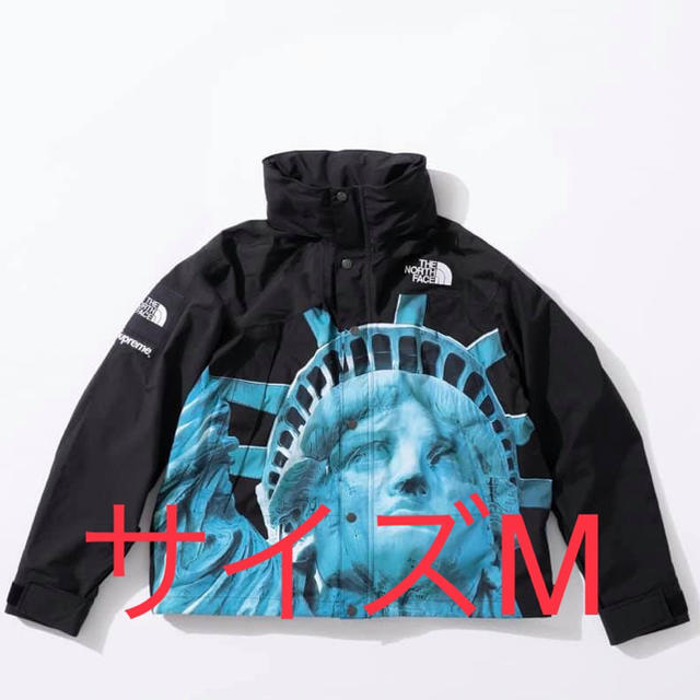 マウンテンパーカーsupreme the north face mountain jacket