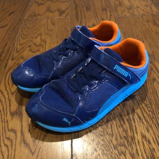 プーマ(PUMA)の洗濯済み プーマ スニーカー 23.5 子供 青 23(スニーカー)