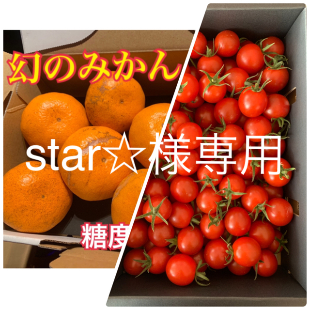 star☆様専用　幻のみかん5kg  キャロル セブン500g  食品/飲料/酒の食品(フルーツ)の商品写真