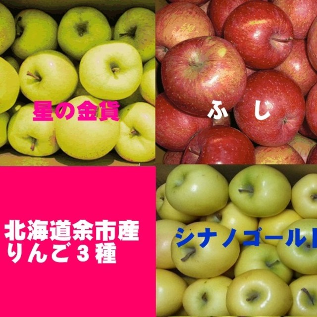 北海道産余市町りんご３種【ふじ】【星の金貨】【シナノゴールド】訳あり品５キロ 食品/飲料/酒の食品(野菜)の商品写真