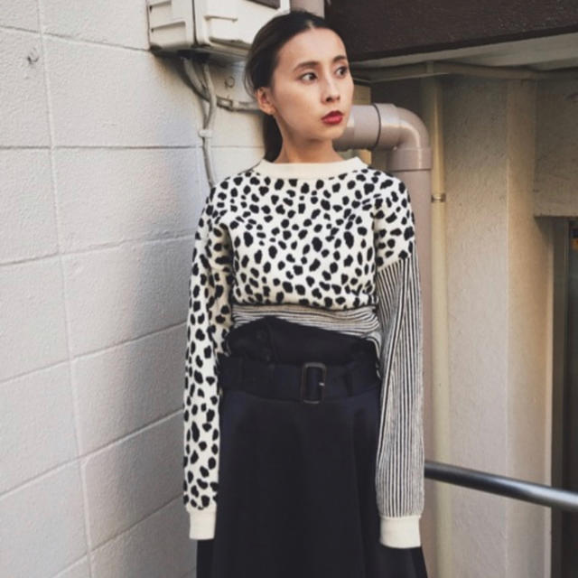 Ameri VINTAGE(アメリヴィンテージ)のMINI DALMATIAN MIX KNIT TOP レディースのトップス(ニット/セーター)の商品写真