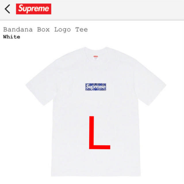 Bandana Box Logo Tee  L SizeTシャツ/カットソー(半袖/袖なし)