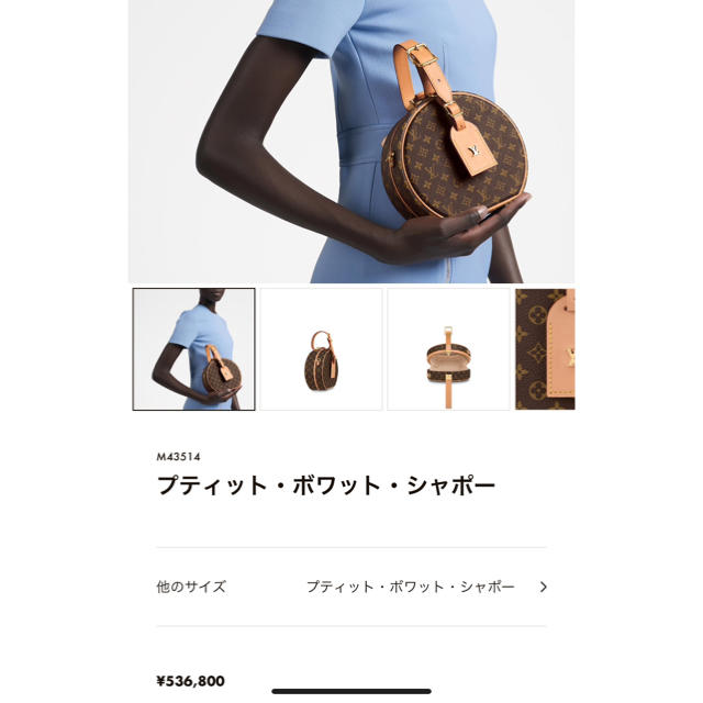 LOUIS VUITTON(ルイヴィトン)のLouis Vitton プティット・ボワット・シャポー レディースのバッグ(ショルダーバッグ)の商品写真