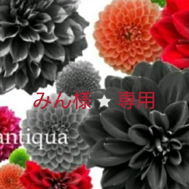 antiqua(アンティカ)のantiqua⭐バイカラーニット完売品 レディースのトップス(ニット/セーター)の商品写真