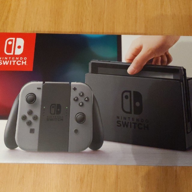 Nintendo Switch JOY-CON グレー 本体  HAC-S-KA