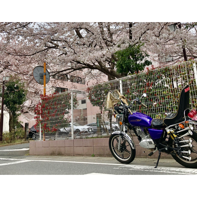 スズキ(スズキ)のgn125 自動車/バイクのバイク(車体)の商品写真